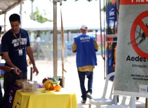 casos-de-dengue-no-brasil-caem-60%-nas-primeiras-semanas-do-ano