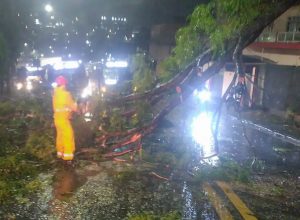 ciclone-deixa-1,2-milhao-clientes-sem-energia-em-sao-paulo