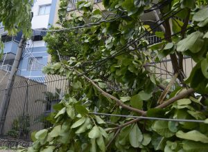 rio-registra-fortes-ventos-devido-a-passagem-de-frente-fria