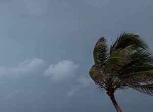 sao-paulo-e-capitais-do-sul-terao-ventos-moderados-nesta-quinta-feira