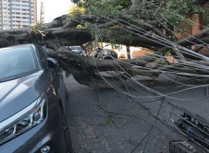 comercio-perde-mais-de-r$-50-milhoes-com-falta-de-energia-em-sao-paulo