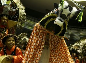 menos-de-30%-dos-agentes-culturais-conseguem-sobreviver-da-atividade