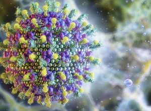 ministerio-da-saude-diz-que-virus-nipah-nao-ameaca-o-brasil