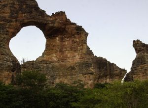 ecosociobio-incentiva-economia-sustentavel-nas-unidades-de-conservacao