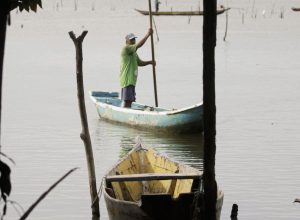 seguro-defeso-comeca-a-ser-pago-dia-17;-primeira-etapa-soma-r$-76-mi