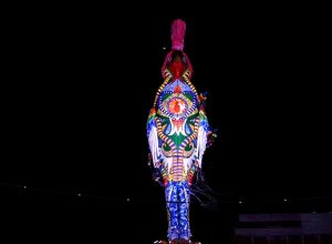 dom-da-paz:-galo-gigante,-no-recife,-homenageia-dom-helder-camara