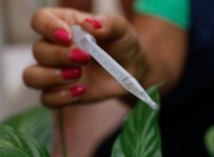 com-300-casos-por-100-mil-habitantes,-sp-entra-em-epidemia-de-dengue