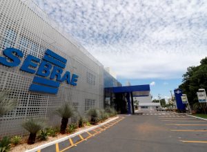 sebrae:-mes-do-mei-leva-capacitacoes-gratuitas-a-senador-canedo