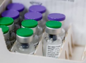 sao-paulo-amplia-publico-alvo-da-vacinacao-contra-a-dengue