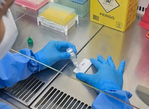 minas-gerais-confirma-primeira-morte-por-hantavirus-em-2026