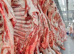 governo-promete-reverter-veto-da-ue-a-carnes-e-animais-brasileiros