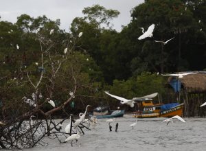 amazonia-soberana:-programa-vai-combater-crimes-em-areas-de-fronteira