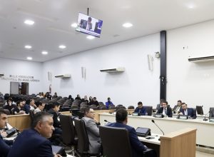 camara-de-rio-verde-aprova-ldo-de-2027-e-mais-41-materias-em-junho