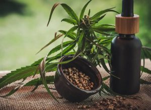 projeto-apoia-maes-e-criancas-atipicas-tratadas-a-base-de-cannabis