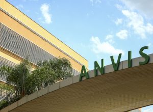 anvisa-proibe-plataforma-de-consulta-online-e-entrega-de-medicamento