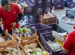 governo-anuncia-credito-de-r$-97,3-bi-para-agricultores-familiares