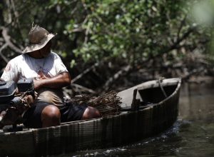 inss-paga-em-julho-r$-874-milhoes-a-149,5-mil-pescadores