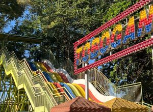 apos-revitalizacao,-mutirama-inicia-retomada-com-publico-de-3,4-mil-visitantes