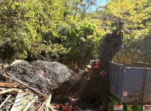 mais-de-110-toneladas-de-fios-inutilizados-vao-para-reciclagem-em-goiania