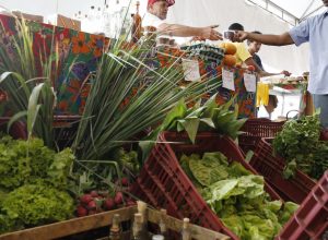 decreto-adia-exigencia-de-cnpj-para-autonomos-e-produtores-rurais