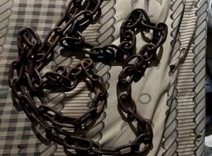homem-e-preso-por-manter-acorrentado-enteado-autista-em-anapolis