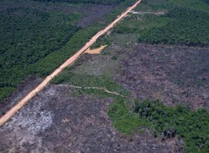eco-invest-brasil-promove-quinto-leilao-para-financiar-inovacao
