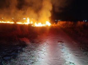 bombeiros-combatem-incendios-em-caldas-novas-e-evitam-perdas-em-jatai