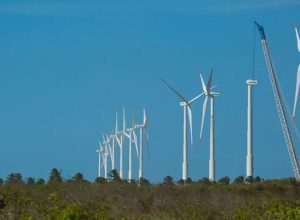 projeto-mapeia-caminhos-para-economia-verde-no-nordeste