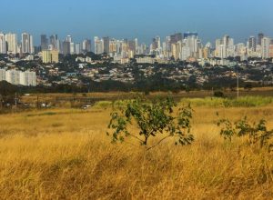 goias-tera-calor-de-ate-40°c-e-‘clima-de-deserto’-nos-proximos-dias
