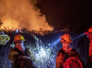 justica-prolonga-uso-da-forca-nacional-em-incendios-na-amazonia-legal