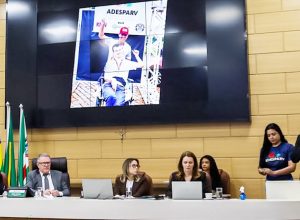 camara-de-rio-verde-recebe-12-projetos-e-analisa-processo-politico-administrativo