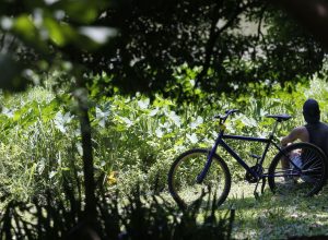 outono-comeca-com-previsao-de-temperaturas-acima-de-media