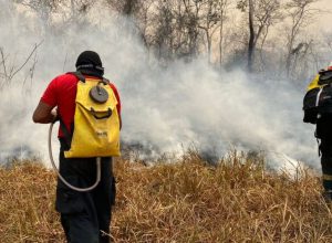 maranhao-tera-r$-45-milhoes-do-fundo-amazonia-para-combater-incendios