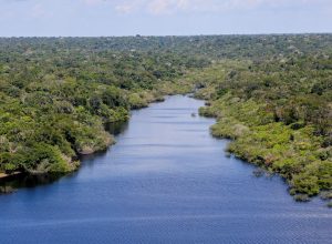 fundo-amazonia-financia-reflorestamento-em-terras-indigenas