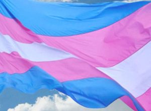 entidades-reagem-a-vetos-de-terapias-hormonais-para-menores