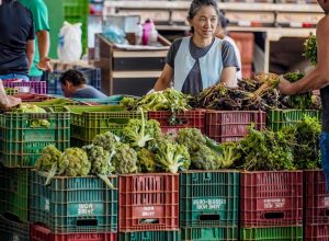 anvisa-inicia-monitoramento-de-residuos-de-agrotoxicos-em-alimentos