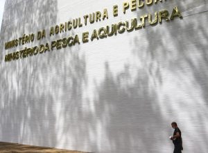 sete-casos-de-doencas-respiratorias-em-aves-sao-investigados-no-pais